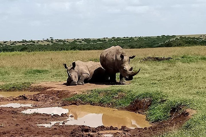 5 Days Olpejeta Conservancy & Solio Rhino sanctuary - Photo 1 of 13