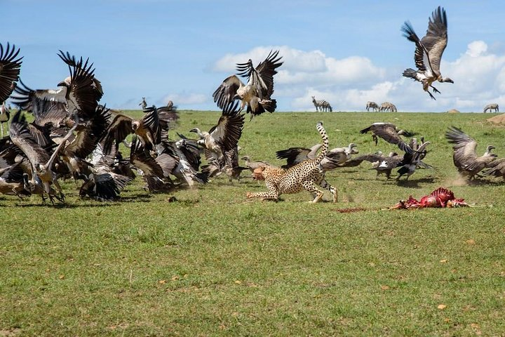 6 Days Big 5 Holiday Safari Adventure - Photo 1 of 11