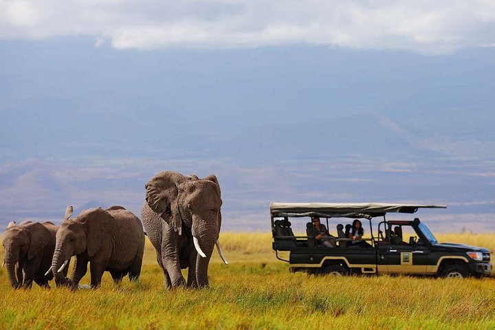 6-Days Rift Valley Lakes and Masai Mara Private Safari - Photo 1 of 12