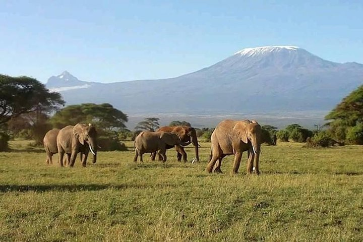 7 Days Great Migration and Budget Safari in Kenya - Photo 1 of 6