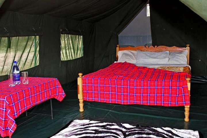 7 Days Kenya Tented Camp Wildlife Safari - Photo 1 of 6