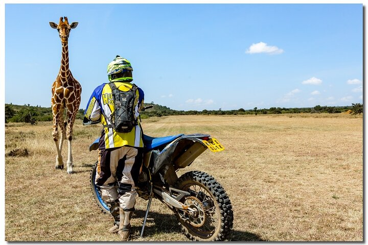 Soysambu - kingdom of the Rothschild giraffe