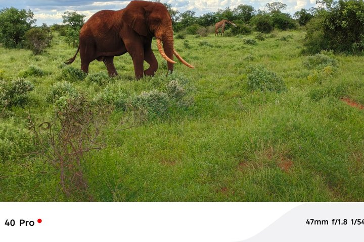 Jambo Kenya Safari - 5 Days Ultimate Wildlife Safari Adventure - Photo 1 of 16