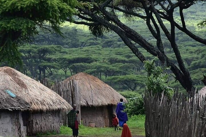 7 Days Tanzania Culture and Wildlife Experience from Nairobi  - Photo 1 of 8