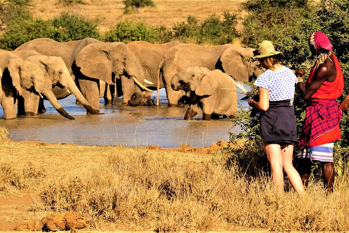 8-Day Cultural Tour and Wildlife Holiday n Kenya - Photo 1 of 9