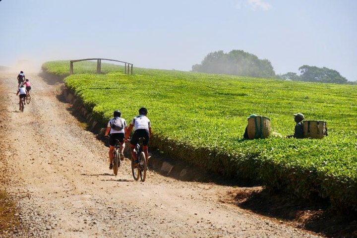 8 Days Africa Biking Tour - Photo 1 of 6