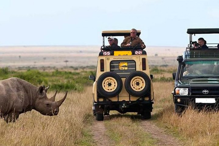 8 Days Discover Kenya Safari with 4x4 Land Cruiser Jeep  - Photo 1 of 15