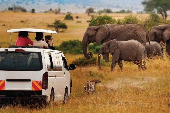 Masai Mara Game Drive
