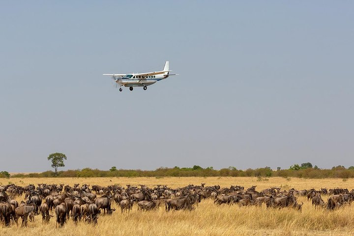 8 Days Ultimate Kenya Flying Safari Holiday - Photo 1 of 11