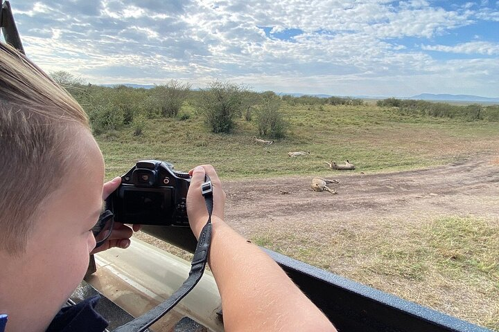 safari game drives