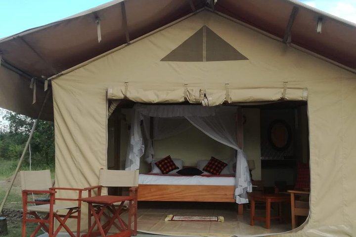 9 Days Best of Kenyan Tented Safari - Photo 1 of 10