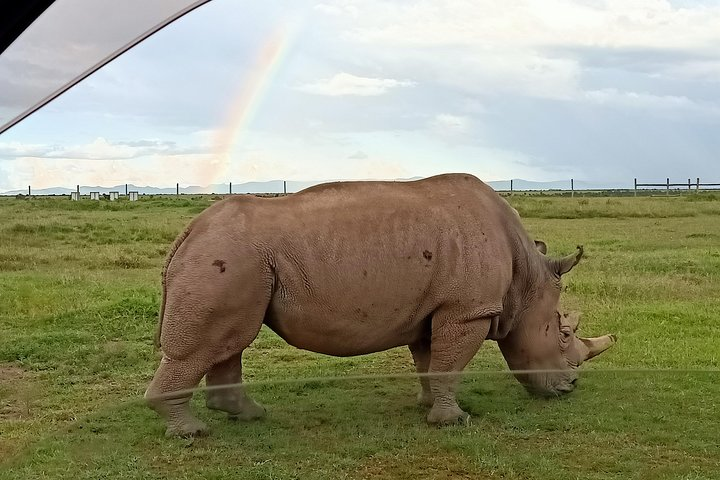 9 Days Rhino Safari - Photo 1 of 12