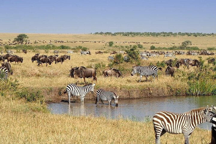 9 Days Savannah Dreams Private Tour - Photo 1 of 7