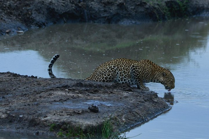 Classic Kenya Explore Safari 2022 - Photo 1 of 12