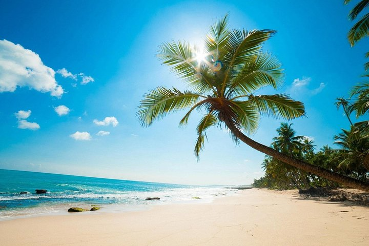 Classic Thrilling Kenya, Tanzania and Zanzibar 2024 - Photo 1 of 6