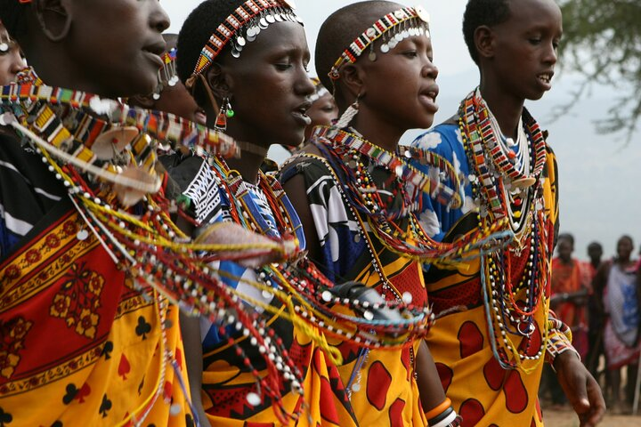 David Sheldrick Elephant Orphanage & Bomas Cultural Dances - Photo 1 of 10
