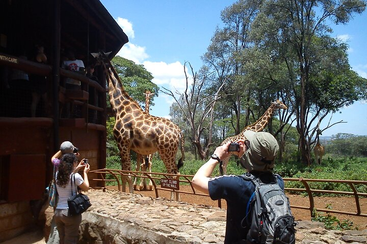 Day tour to Giraffe centre  - Photo 1 of 3