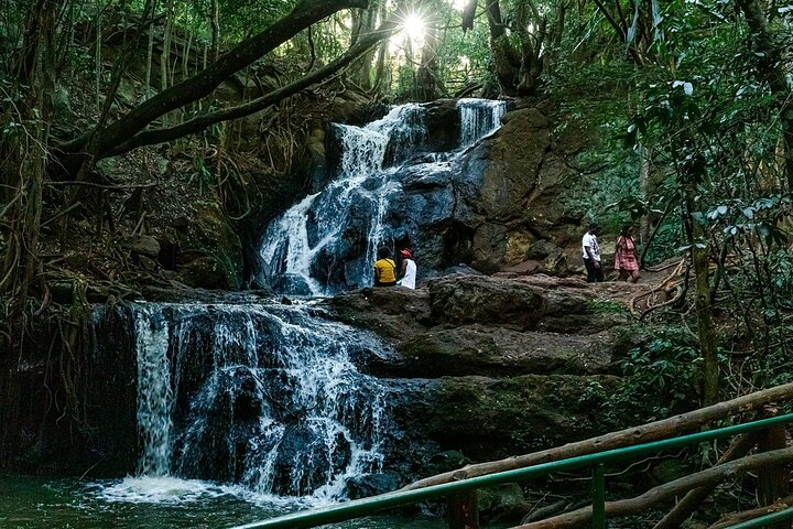Day Tour to Karura Forest Nature Trail - Photo 1 of 10