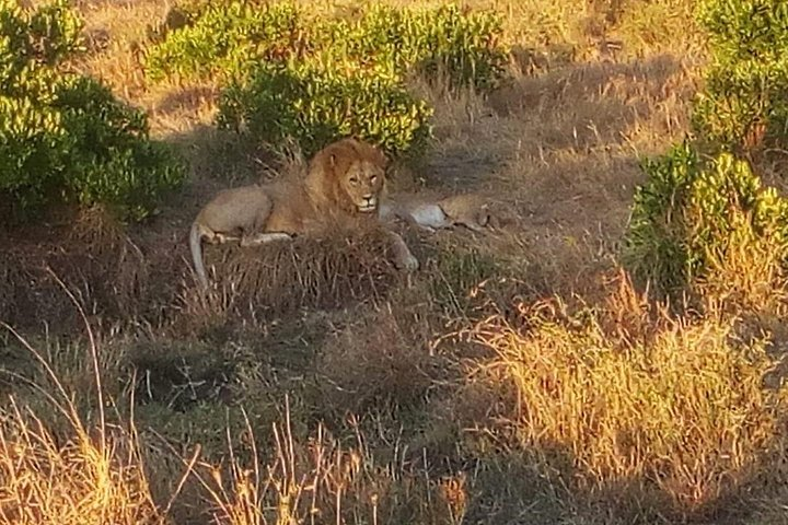 Day Trip excursion Nairobi. - Photo 1 of 6