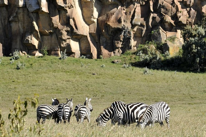 Day Trip To Crescent Island And Hells Gate National Park - Photo 1 of 16