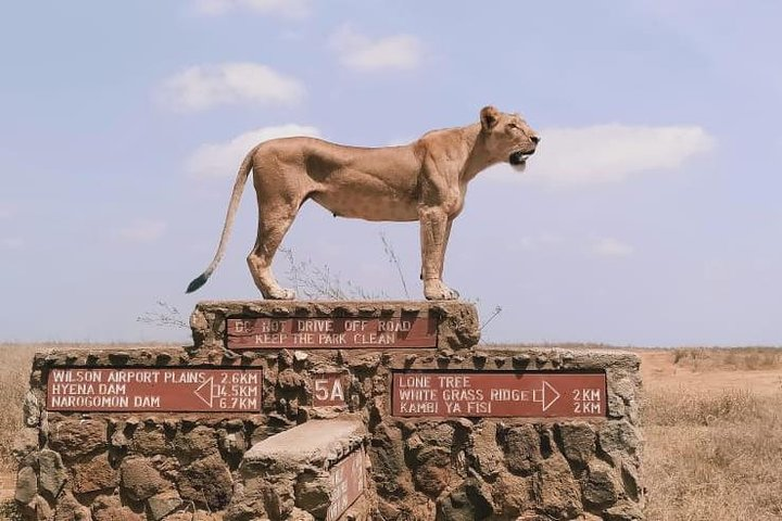 Nairobi Park