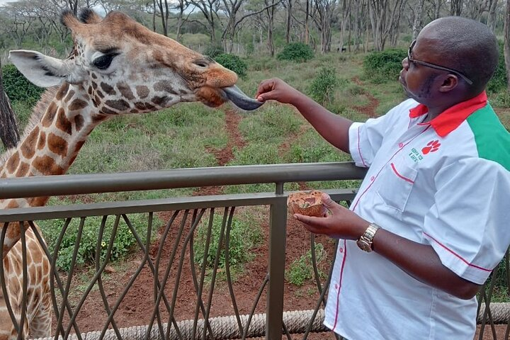 Giraffe Center, Elephant Orphanage, Beads Center & Bomas of Kenya - Photo 1 of 6