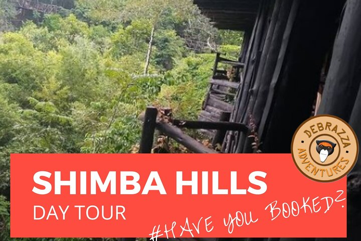 Explore Shimba Hills. - Photo 1 of 4