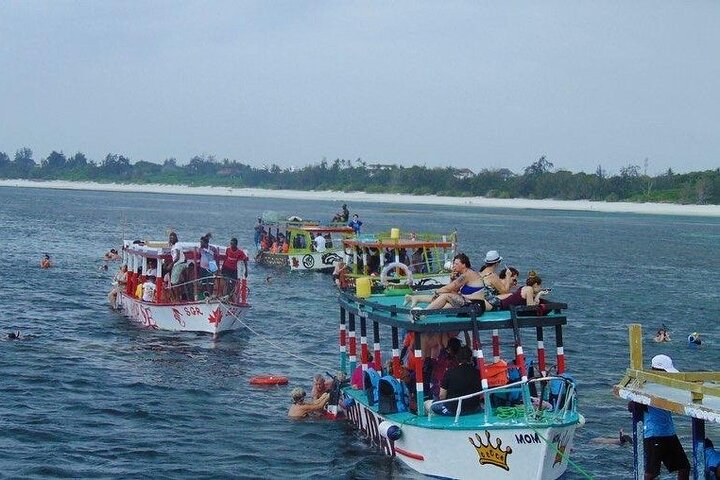 Full-Day Safari Blue Tour with Snorkeling Dolphins & Island Stop - Photo 1 of 25