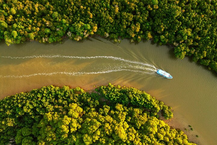 The Sail