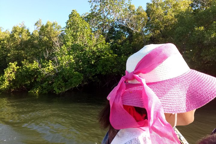 Funzi Day Tour - Photo 1 of 6