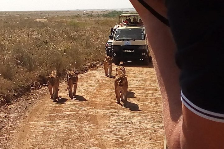 Half day Nairobi national park tours - Photo 1 of 13