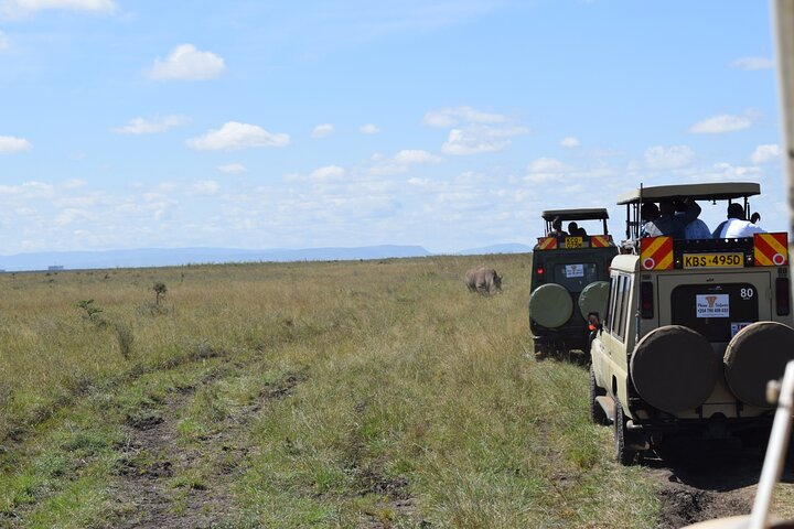 Half Day Tour in Nairobi National park - Photo 1 of 6