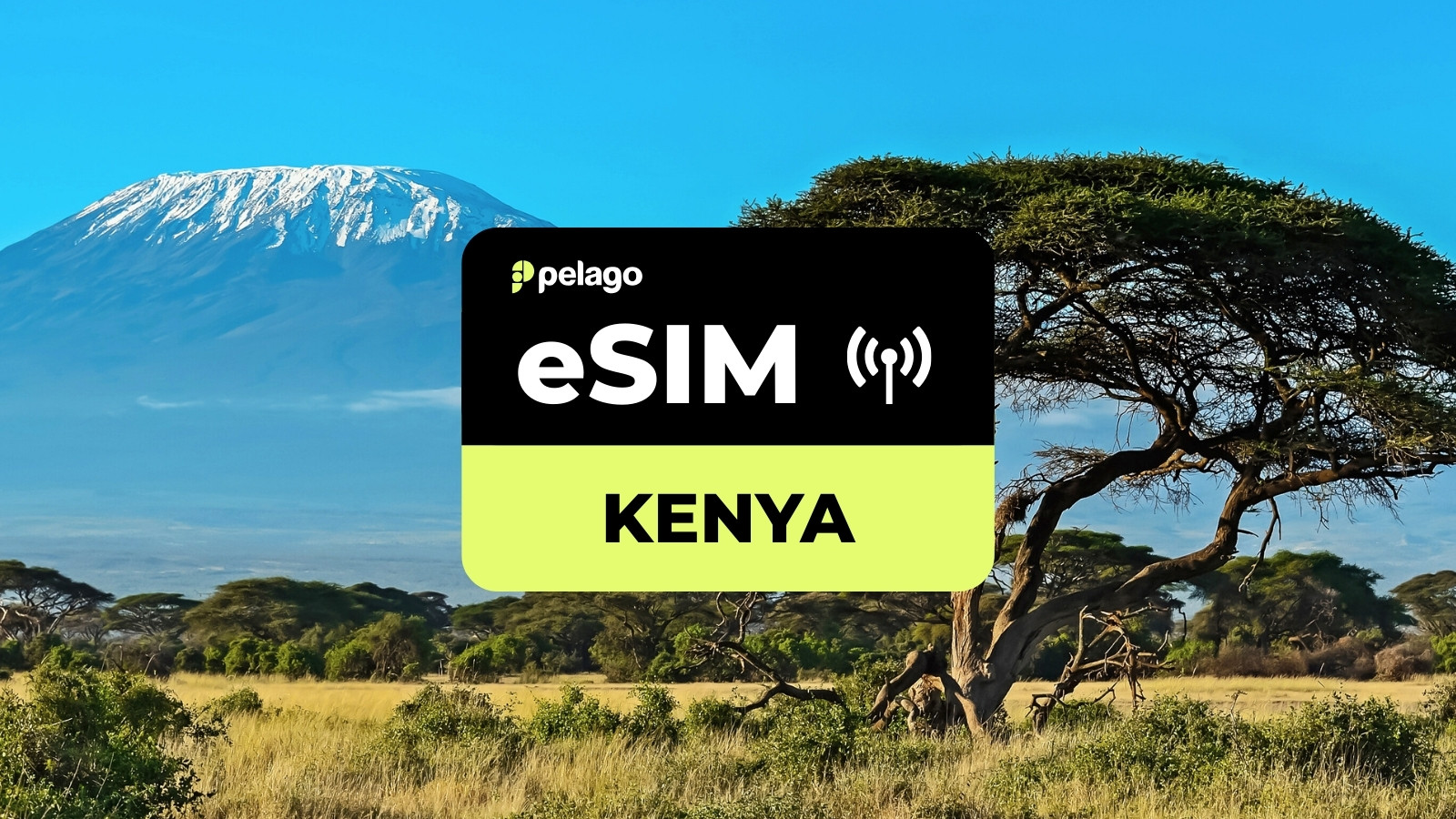 Kenya eSIM by Pelago - Photo 1 of 1
