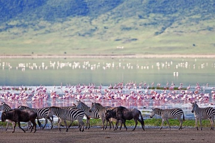 Lake Elementaita Guided Flamingoes Day Tour from Nairobi - Photo 1 of 9