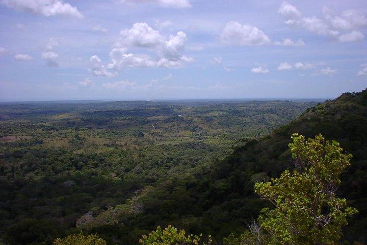 Mombasa Day Trip: Shimba Hills National Park Tour