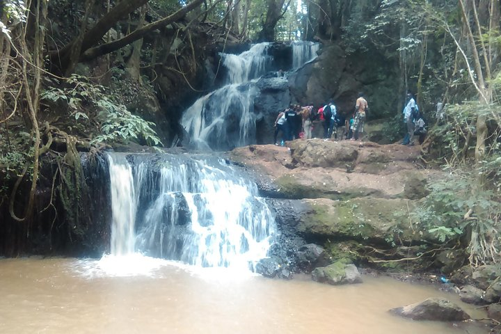 Karura Forest Day Tour