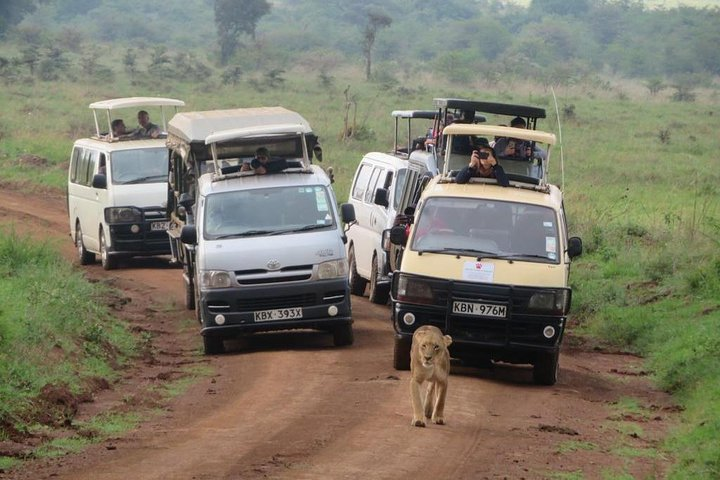 Nairobi National Park, Sheldrick Elephant, Giraffe Centre Tour - Photo 1 of 12