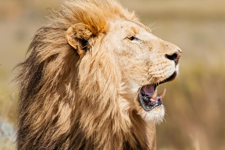 Nairobi National park