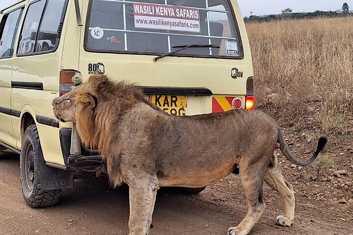  Private Nairobi park 4x4 Landcruiser, Elephant & Giraffe Centre  - Photo 1 of 15