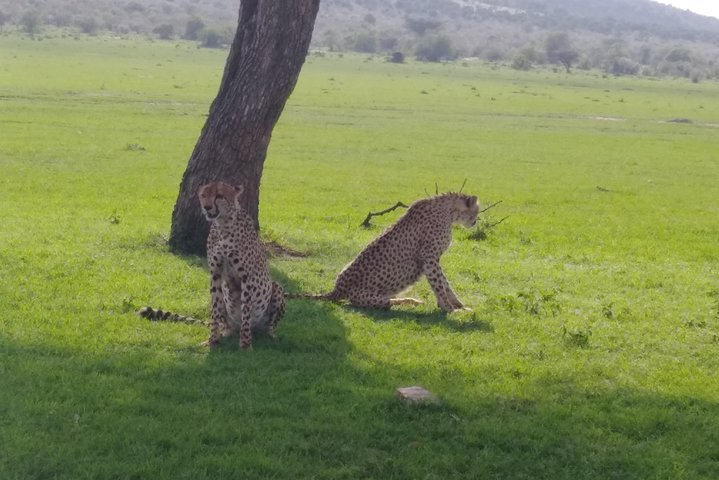 Nairobi National park  - Photo 1 of 4