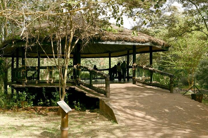 Nairobi Safari Walk - Photo 1 of 5