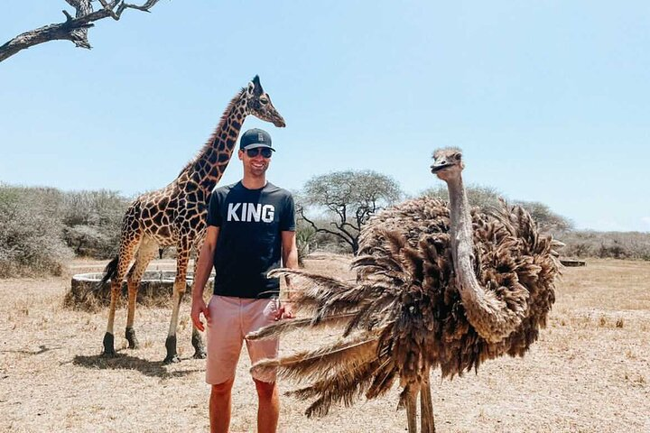 Nature Walk with Giraffes in Mombasa - Photo 1 of 9