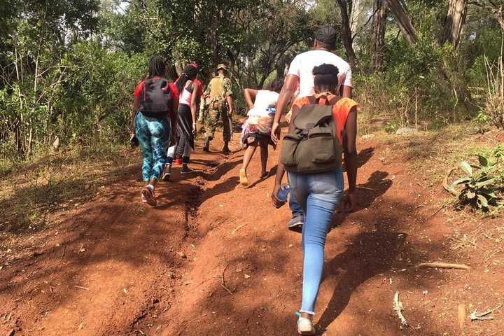 Ngare Ndare Forest - Photo 1 of 2