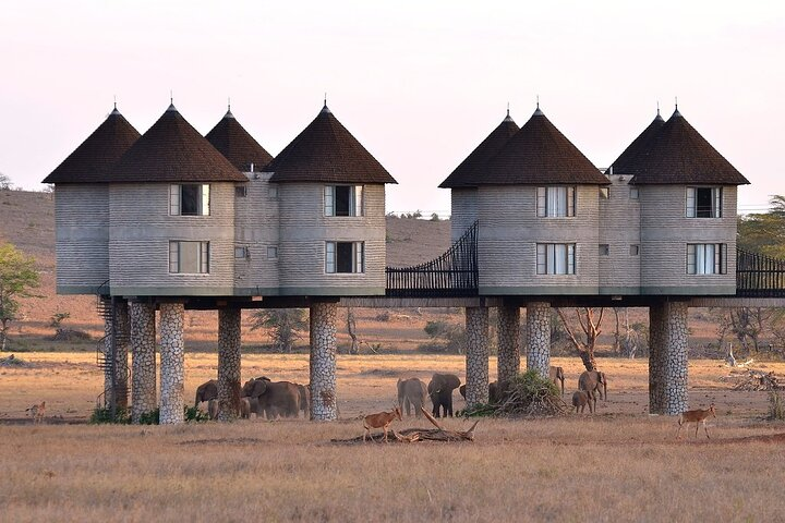Overnight Safari Tour to Saltlick Lodge from Mombasa - Photo 1 of 16
