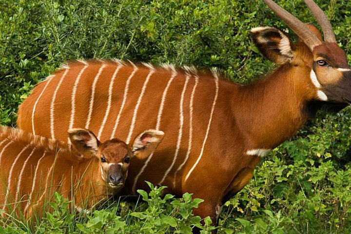 experience with us in the Abadares