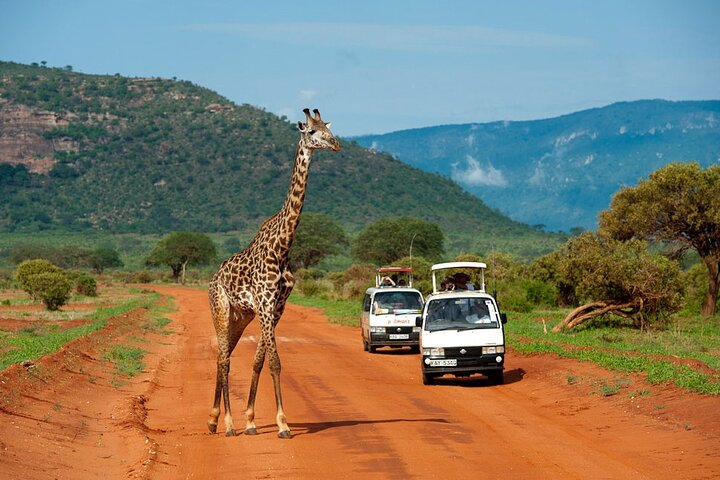 Overnight Safari to Tsavo East National Park from Mombasa/Diani - Photo 1 of 7