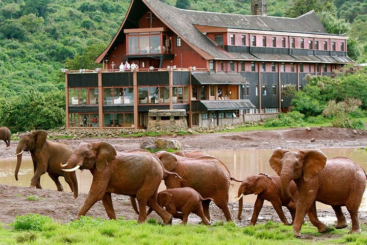 Private 5 Days Aberdares Ol Pejeta Conservancy & Samburu Wildlife Safari - Photo 1 of 12