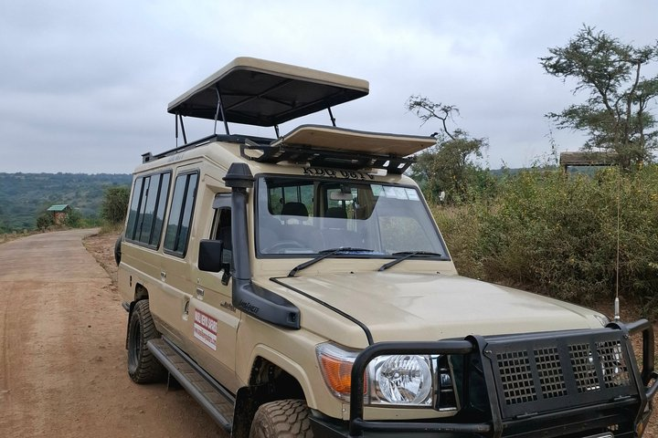 Private Amboseli day Tour in 4x4 Landcruiser - Photo 1 of 25