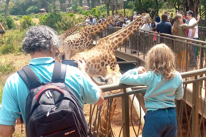 Private Tour in Giraffe Centre and Bomas of Kenya - Photo 1 of 7