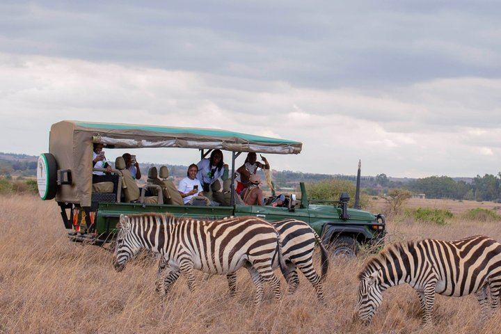 Safari Tour; Nairobi National Park - Photo 1 of 25